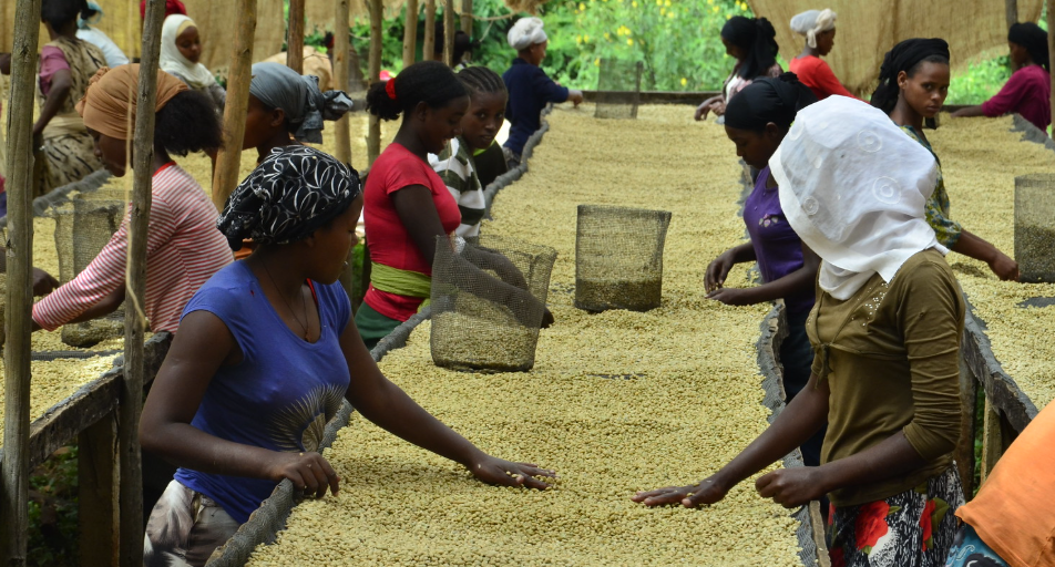 Why Foreign Investors Cannot Afford to Skip Due Diligence in Africa