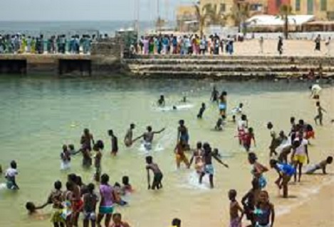 From Rice Fields to Wind Farms Senegal’s Next Big Investment Frontiers