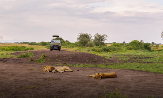 Pearl of Africa Africa’s Emerging Investment Hotspot