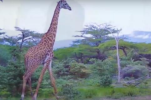 Tanzania Africa’s Emerging Investment Hotspot in 2025